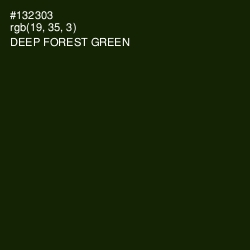 #132303 - Deep Forest Green Color Image